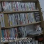 女子走私2000多本淫秽漫画获刑